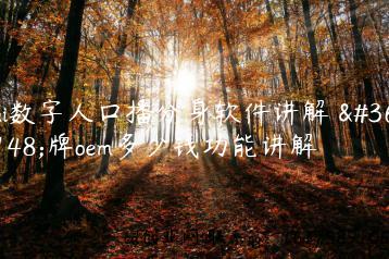 ai数字人口播分身软件讲解 贴牌oem多少钱功能讲解缩略图